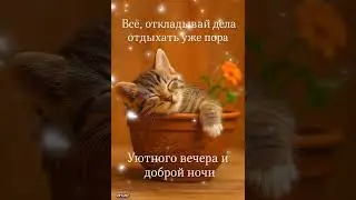 Have a nice evening! Have a nice evening! Good evening and good mood! Evening Comfort Warmth Mood!