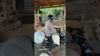 Cikha Buh nawnna