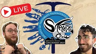 SVP FUTURES AWARD - STREAM 1