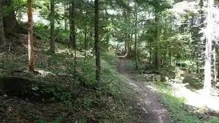 Downhill Step, France