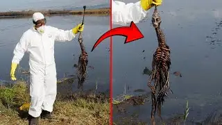 Terrifying Creature Emerged On This River And No One Has An Explanation