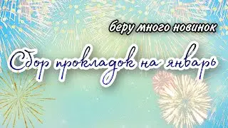 Сбор прокладок на январь / собираю новинки