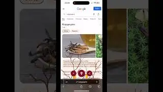 Крутой Лайфхак Гугл!!!!