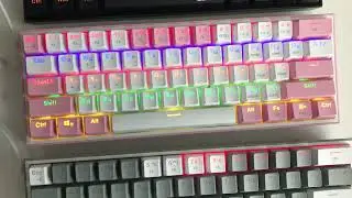 IMG 1480