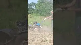 Скашивание ботвы картофеля