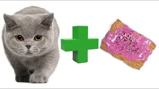 Cat + Strawberry Pop Tart = ? #NyanCat