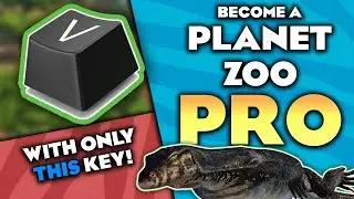 Become a PRO PLANET ZOO PLAYER with THIS ONE KEY!