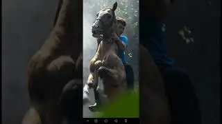430  MOM  horse clip   Smart horse
