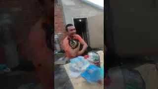 рычит
