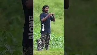 Wildlife photography / Bird phography / 