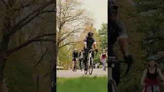 a spring day in central park