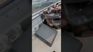 Pärnu jõel koha püüdmas...