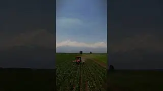 #кукуруза #limagrain #manaiagro 😍😍😍