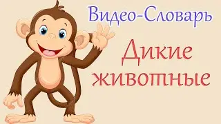 Французский Видео-Словарь  