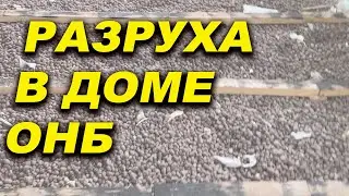 Началась разруха в доме ОНБ