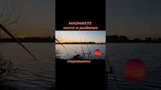 Рыбалка на платном водоёме #блесна #рыбалка #жизнь #fishing #речка #карп