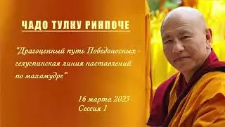 Чадо Тулку Ринпоче, 