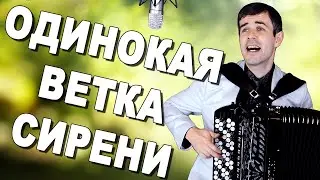 БОЖЕ, ВОТ ЭТО ГОЛОС! ПРОСТО ДУШУ РВЕТ! (