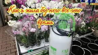 Орхидеи в ОБИ. Купила супер агрегат  для полива своих Орхидей.