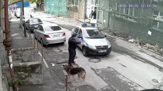 Ростов-на-Дону. Выхватил сумку. 25.10.2015
