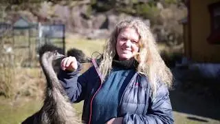 VOFF #3: Emu på Huglo