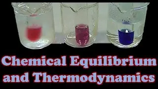 Cobalt equilibrium and thermodynamics