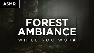 Calming Forest | Ambiance & Music while you work (5 Minutes)