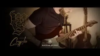 Markus Sigfridsson - Cryptic [OFFICIAL VIDEO] #schecterguitars #nickjohnston #plini  @NeuralDSP