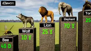 ANIMAL LIFESPANS Comparison | Shortest To Longest Living Animals