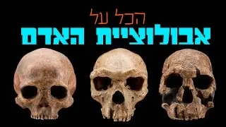 הכל על אבולוציית האדם