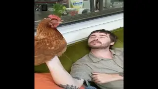 I came to see you, oh great-...