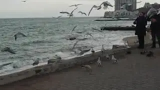 Аркадия пя