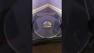 A ROBLOX VINYL?