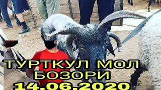 Турткул мол бозори 14.06.2020