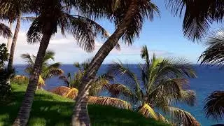 Relaxing and refreshing music