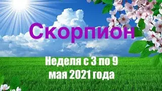 Скорпион. Таро-прогноз на неделю с 3 по 9 мая 2021 года.
