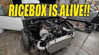 RICEBOX LIVES!!