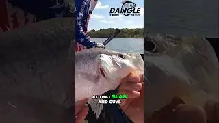 SLAB Texas Crappie 👀 🎣 #shorts #crappie