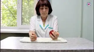 Суставная гимнастика
