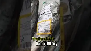 Cheapest Fish In Thailand:Baht 50.00 Only 