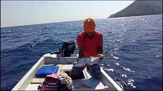 UFAK BALIKLAR BUYUYUP GELSIN - www.adrasanbalik.com