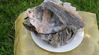 Ламинария листовая