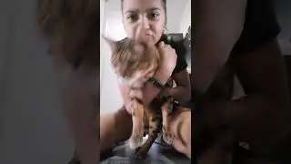 кот🥰😍🐈