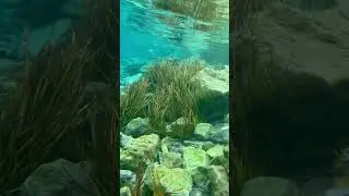 Чилучор чашма Таджикистан