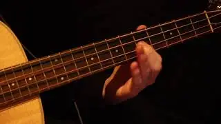 Brown and white horse - House (bass cover)