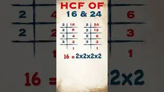 HCF of 16 & 24 / 