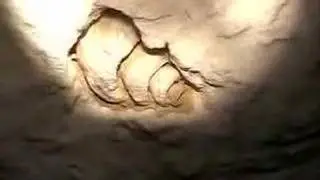 cenote dos ojos