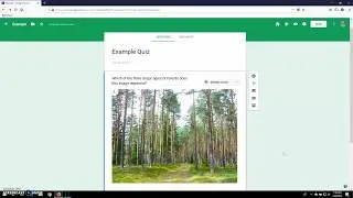 Resize and Align Images Google Forms