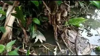Unik ! Anak Kecil Memancing Belut dan  Bermain Kelereng Untuk Mengisi Waktu Liburan Corona Covid 19
