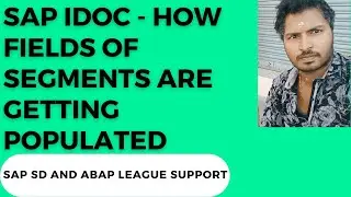 SAP IDOC - How fields of segments are getting populated